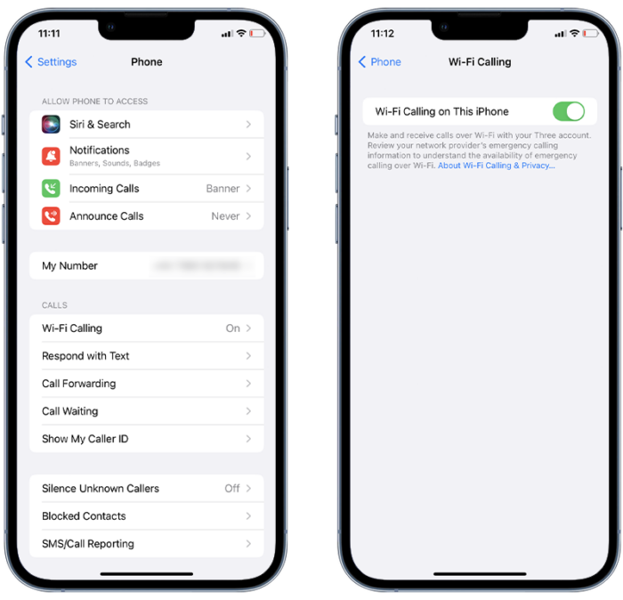 My iPhone Won’t Make Calls But Will Text How To Fix Certo Software
